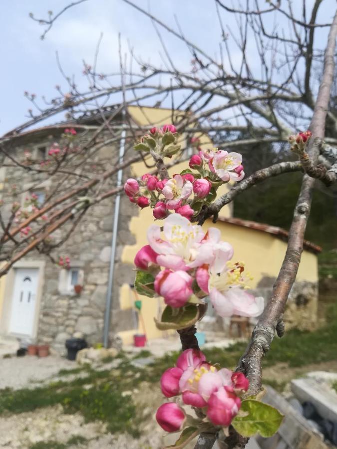 Skalameri Kozljak Zewnętrze zdjęcie